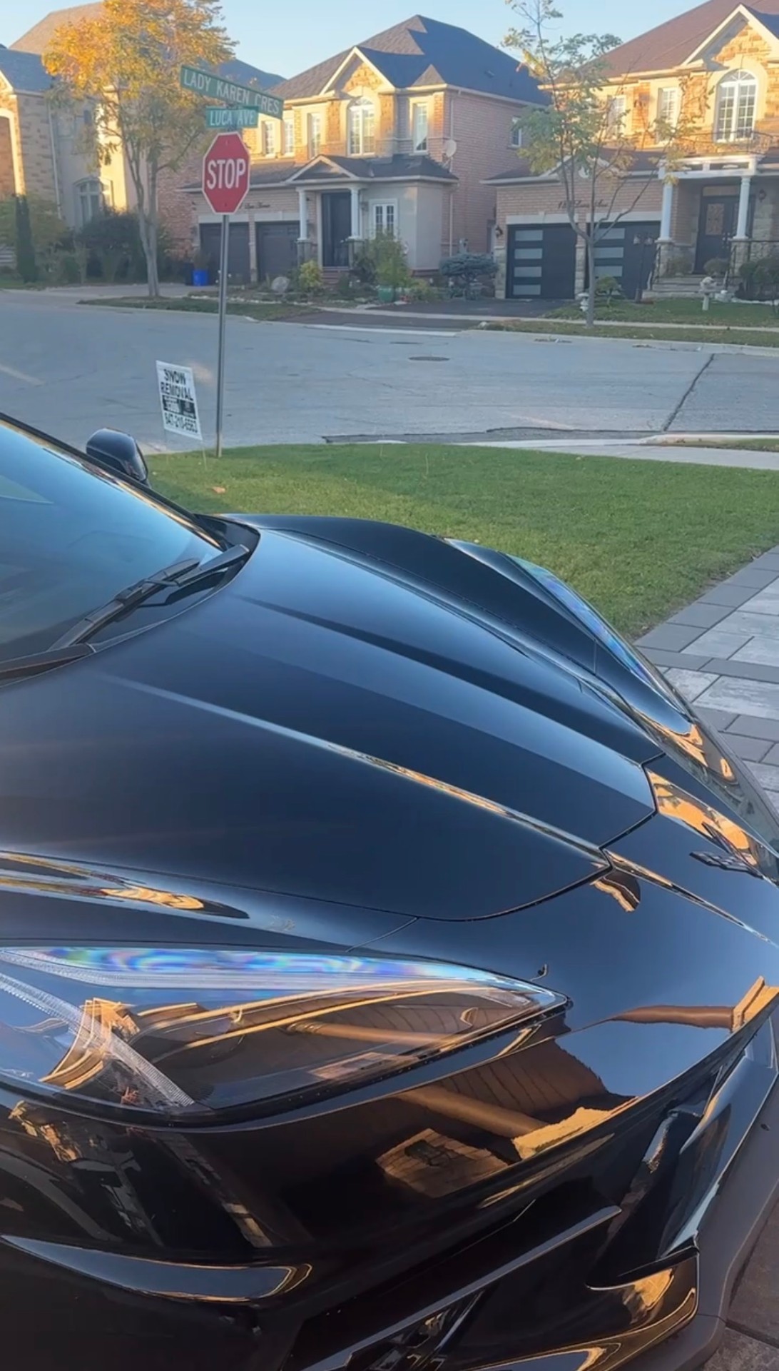 Black Corvette hood reflecting sky after polish